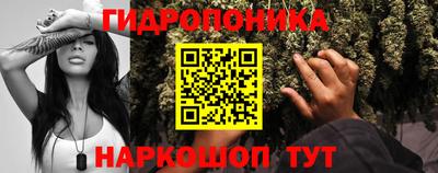 скорость Заволжье