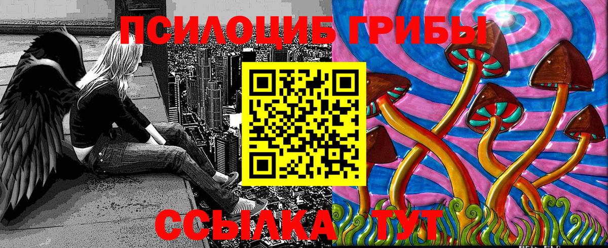 Кумертау  купить наркотик  Вход с VPN  Галлюциногенные грибы прущие грибы 