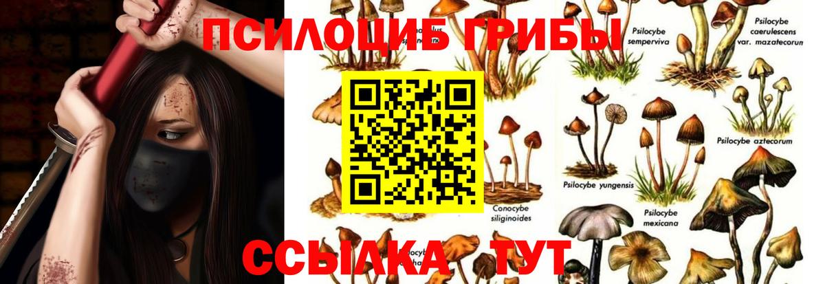 Галлюциногенные грибы Cubensis Кумертау